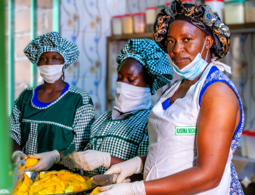 TRANSFORMATION DE LA MANGUE